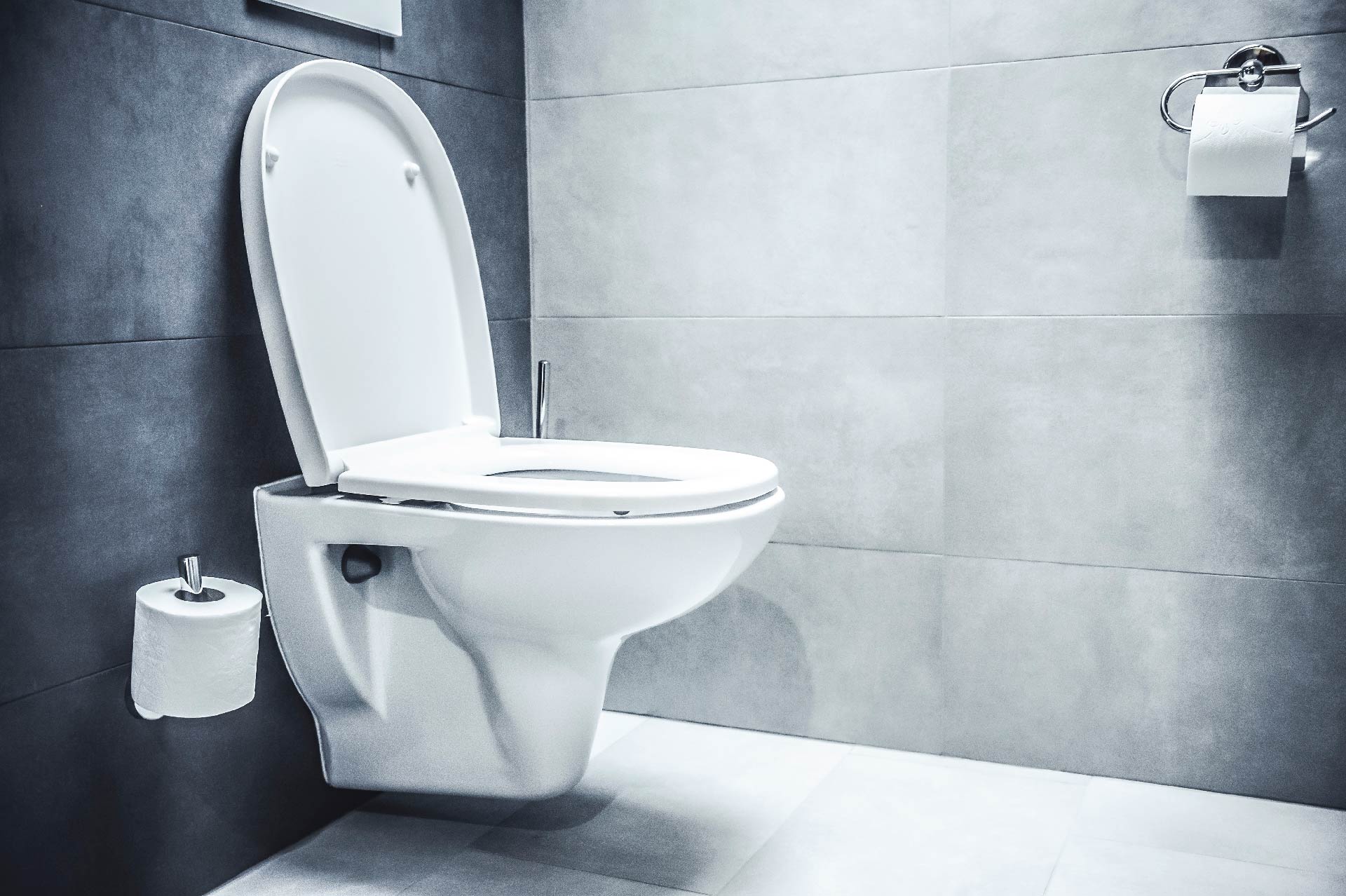When is the Right Time to Replace a Toilet?
