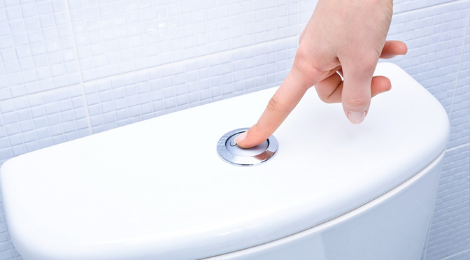Fun Plumbing Facts: Do You Really Know How to Flush?