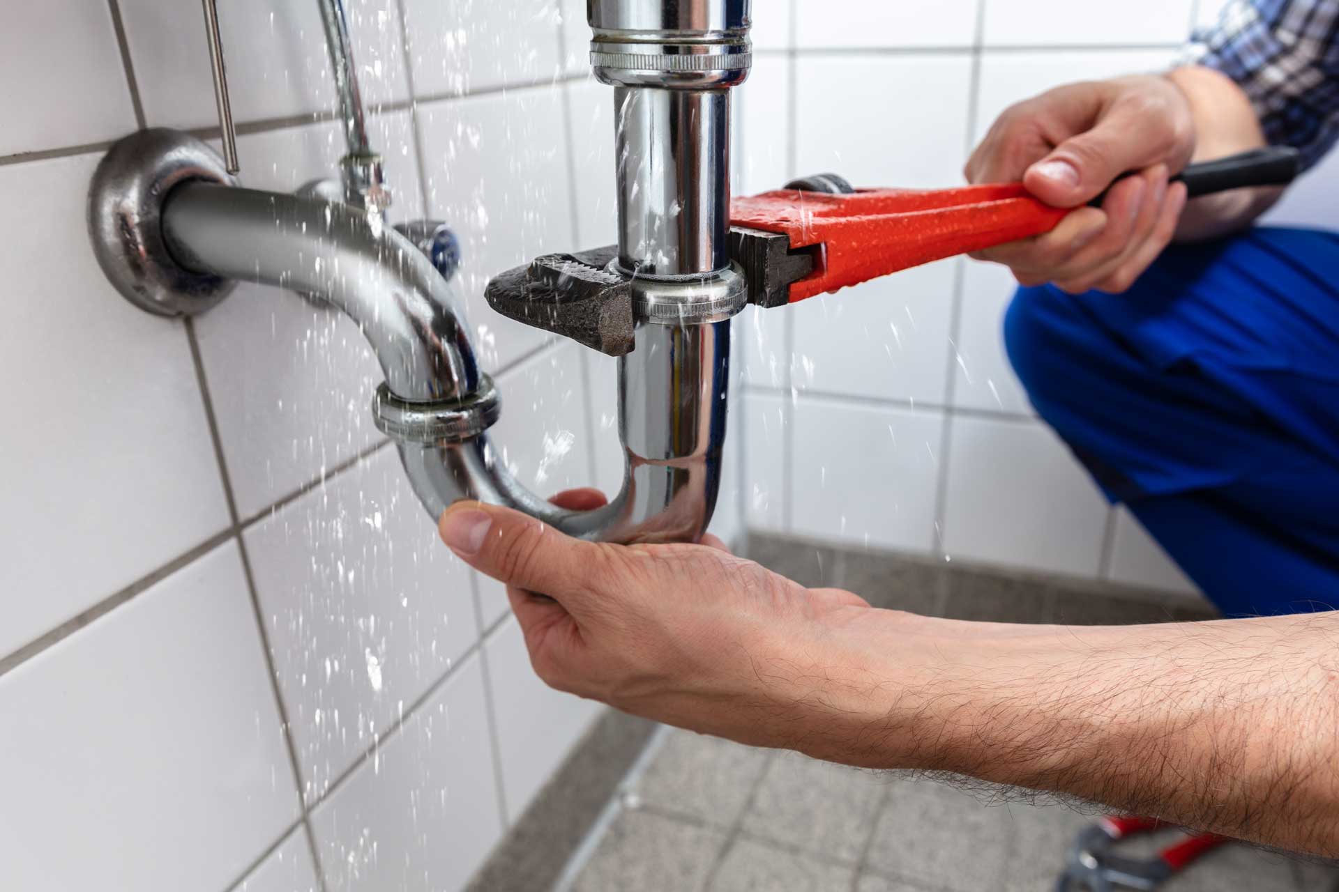 Plumbing Leaks That Can Attract Pests