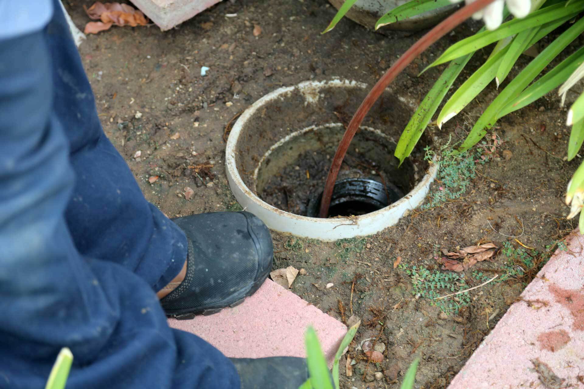 Main Sewer Clogs: Causes, Warning Signs & Replacement Options