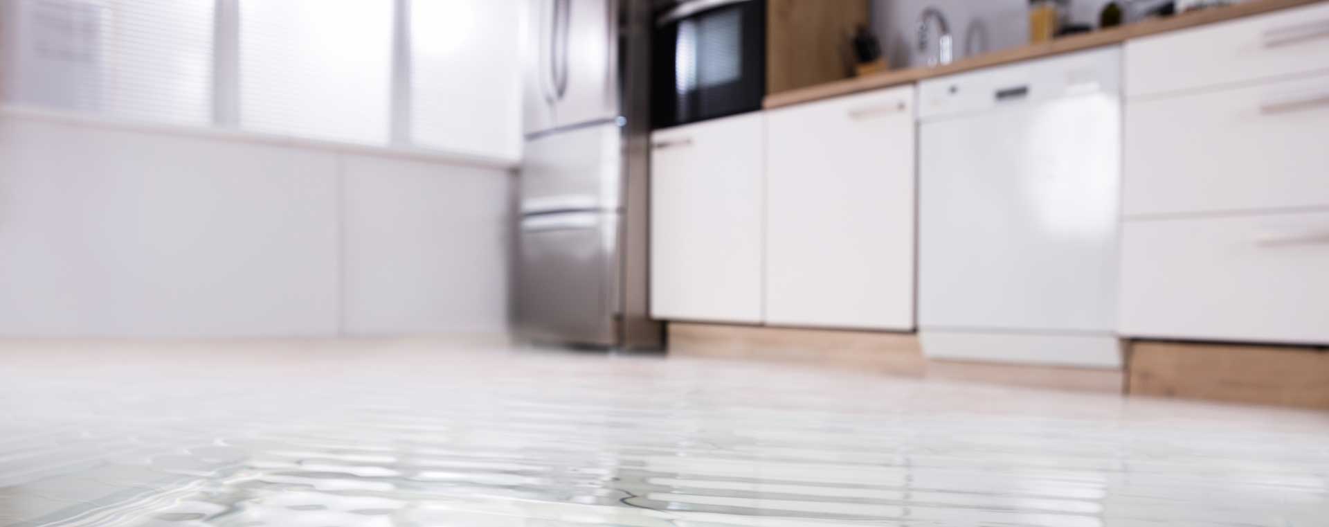 Plumbing Problems That Arise After Heavy Rains