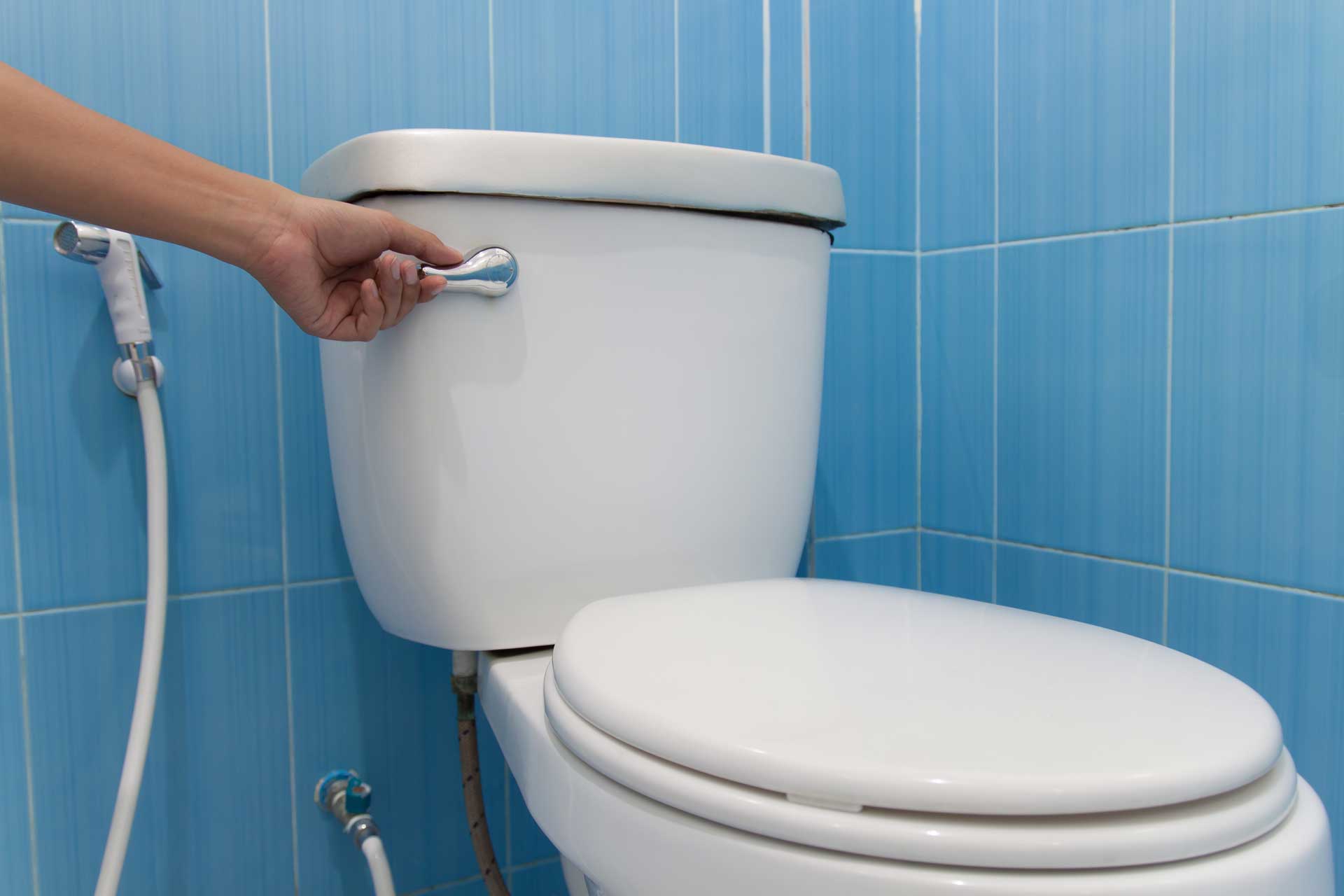 Solutions to 3 Most Common Toilet Flushing Problems
