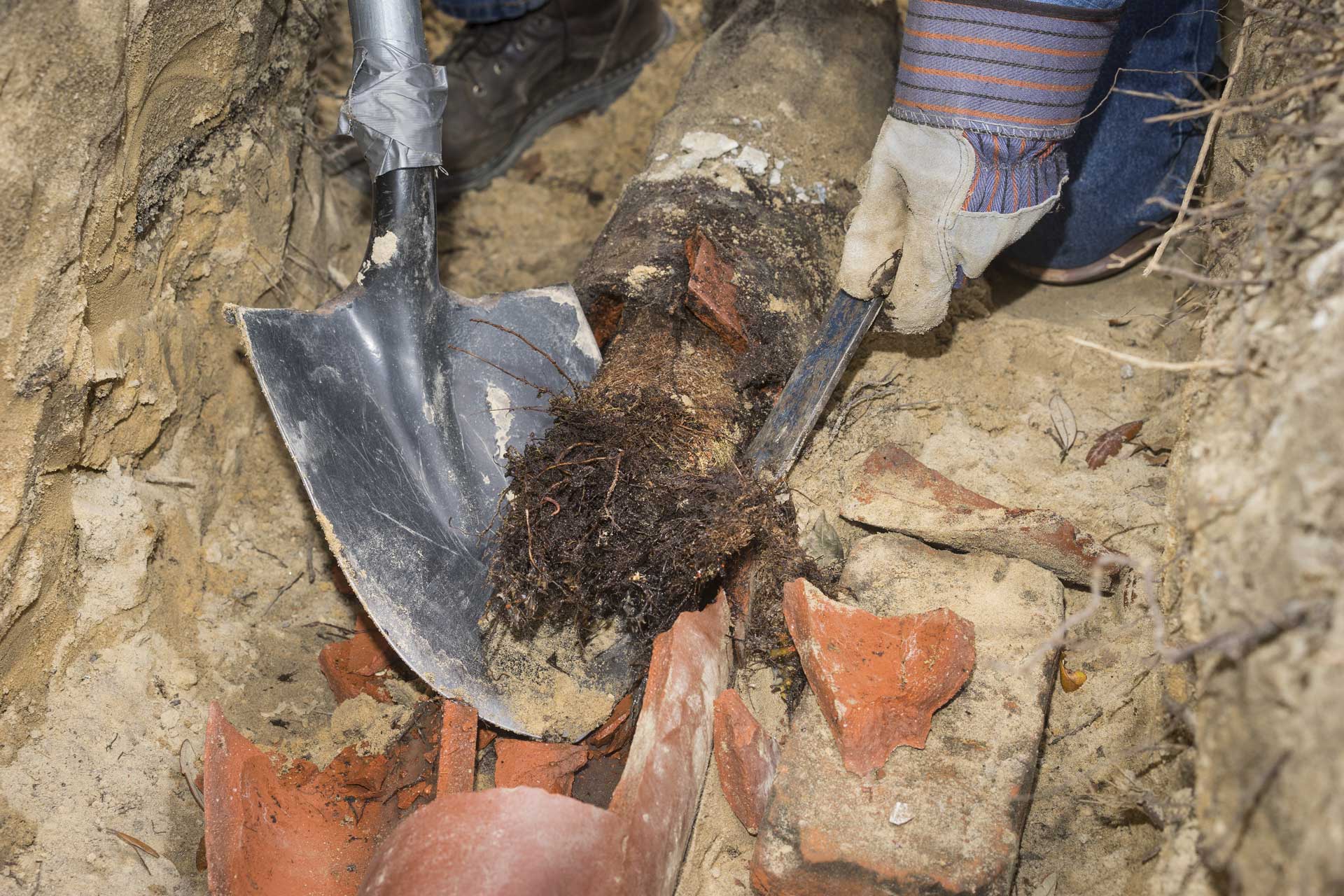 How Do I Know If I Need A Sewer Line Replacement?