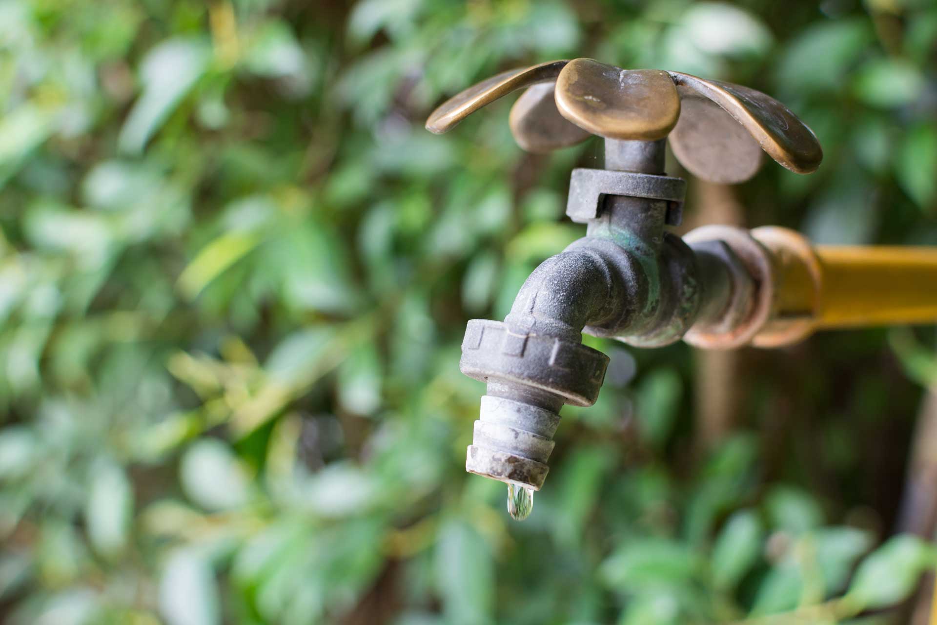 Helpful Plumbing Tips for This Spring